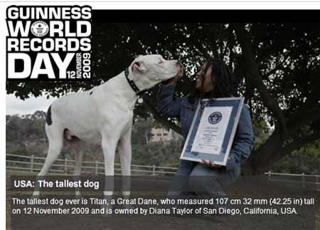 maior-cachorro-do-mundo-cao-gigante-grande-livro-records-guiness-real